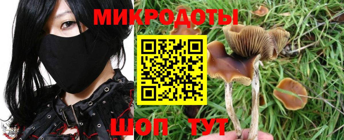 Псилоцибиновые грибы MAGIC MUSHROOMS  Вход с VPN  Миасс  Галлюциногенные грибы Magic Shrooms 